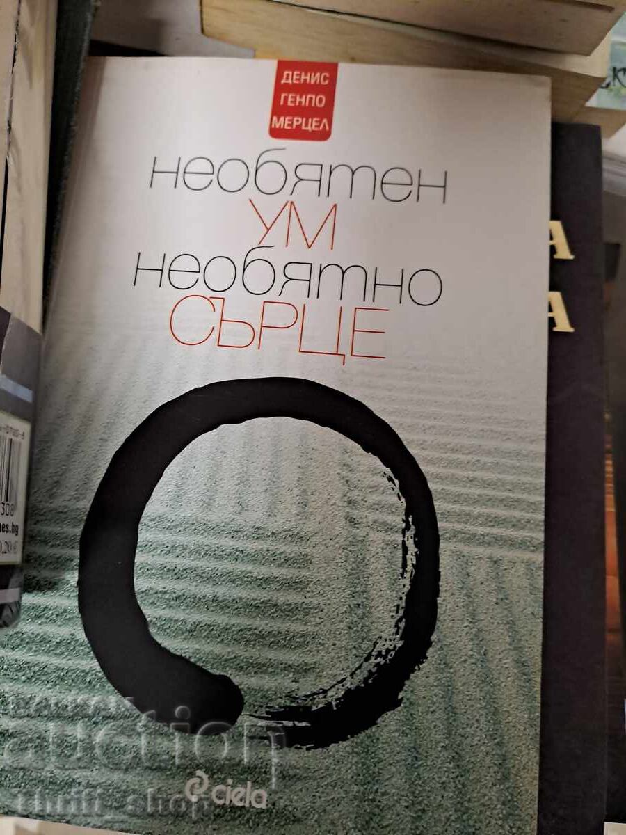 Vast Mind Vast Heart Dennis Genpo Merzel