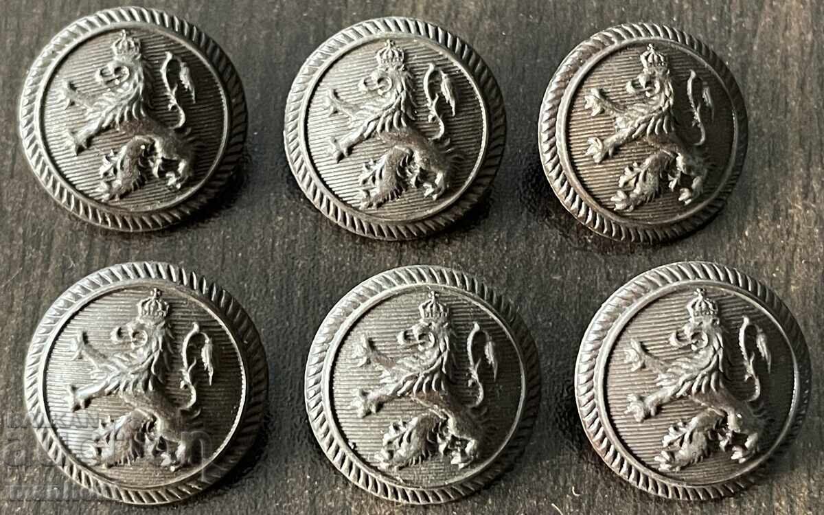6226 Kingdom of Bulgaria 6 large bakelite buttons infantry 30g