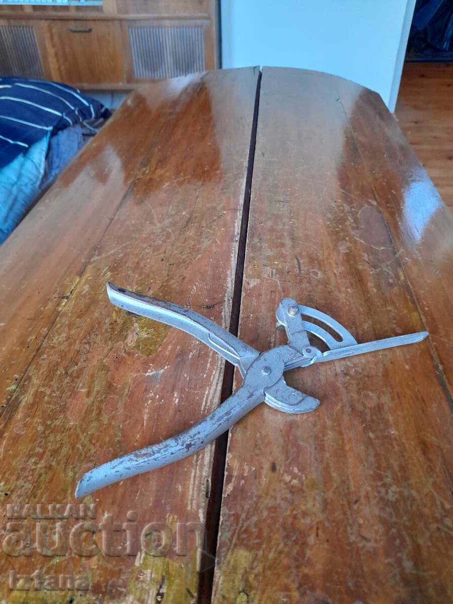 Clești vechi de plop Clești vechi de plop