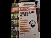 Viața de birou Adevărul șocant David Bolkover