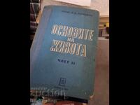 Bazele vieții. Partea a 2-a V. V. Lunkevich