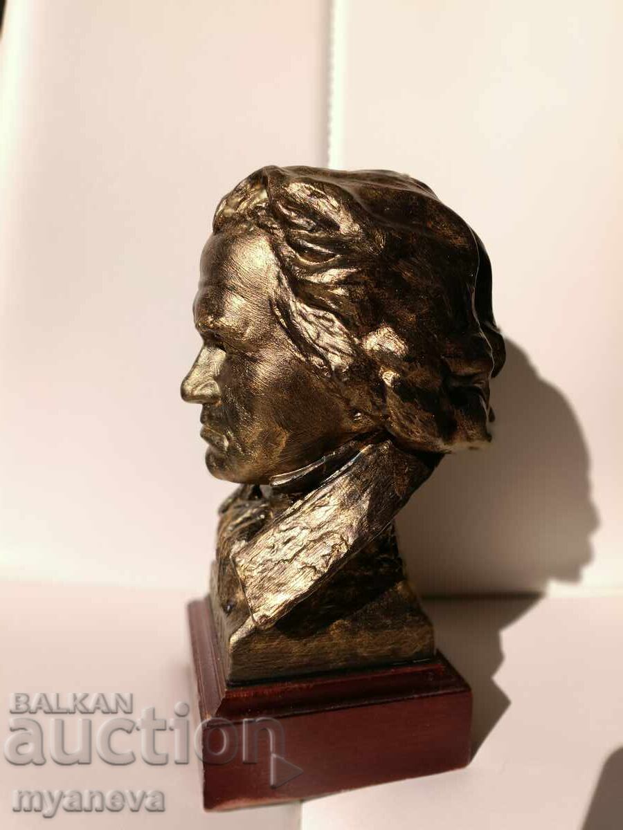 Bust of Ludwig van Beethoven (Beethoven) - 6