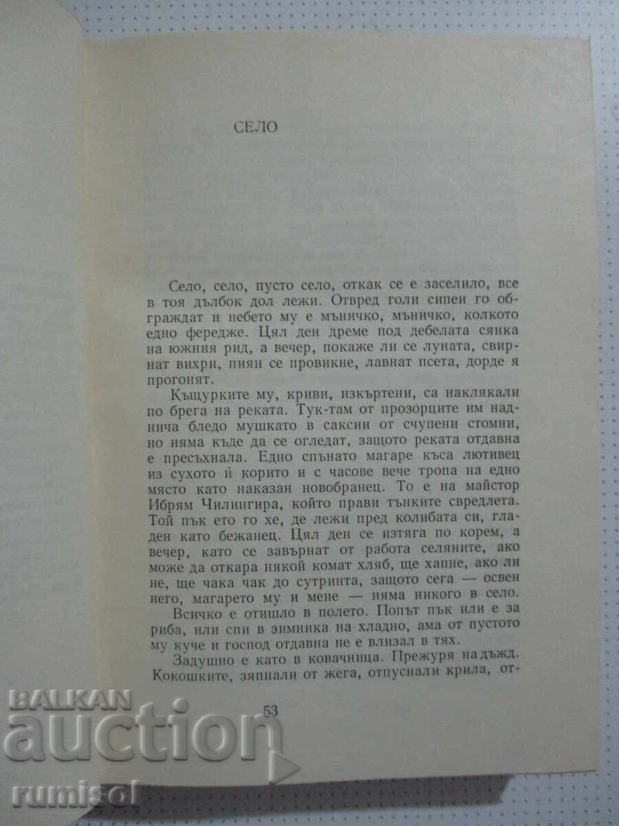 Delivery of Essays - Volume 1 - Chudomir