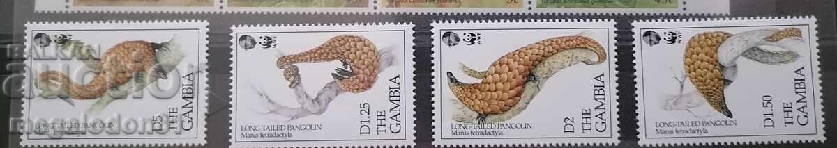 Γκάμπια - WWF πανίδα, αφρικανικός παγκολίνος