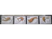 Γκάμπια - WWF πανίδα, αφρικανικός παγκολίνος