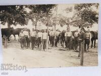 ROYAL PHOTO, CAVALRYMAN, SOLDIER, UNIFORM, HORSE