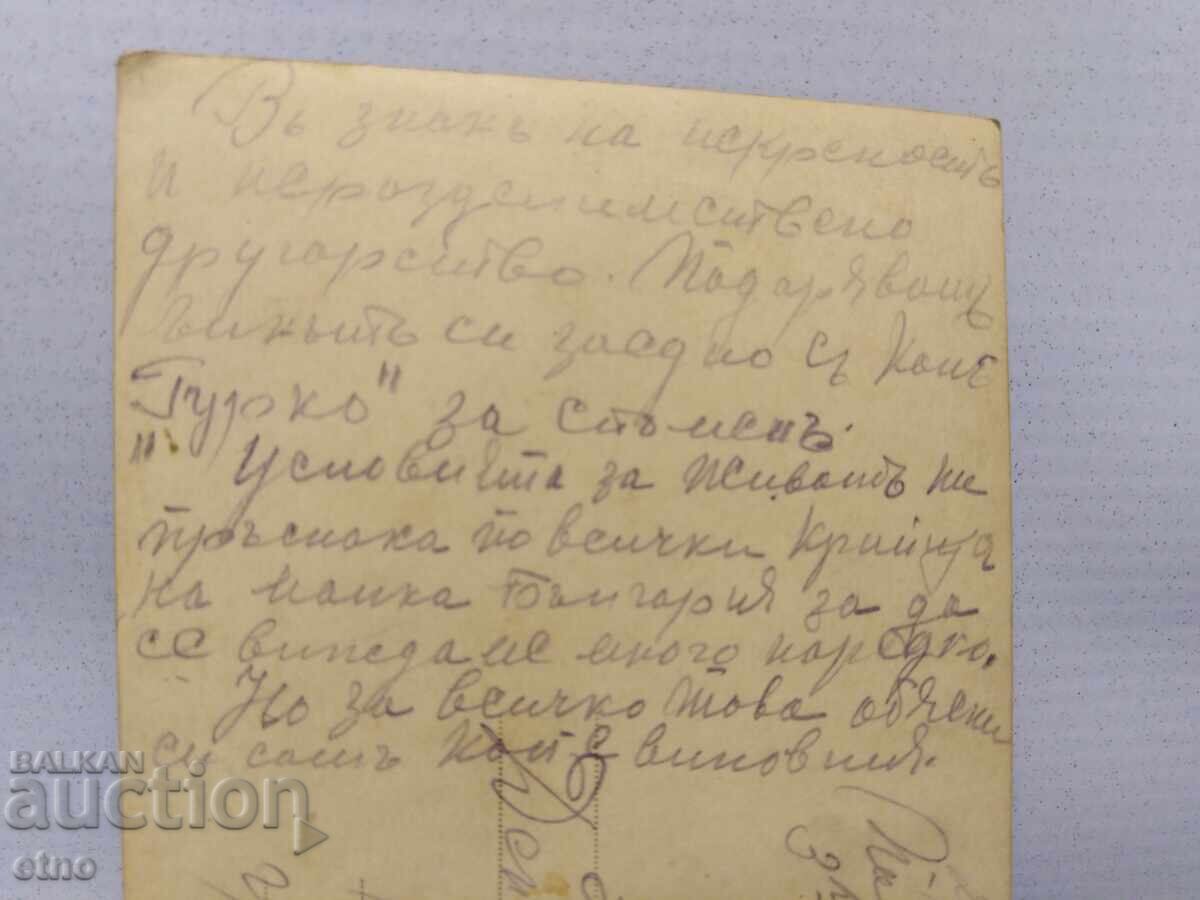 Tsar's Photograph, Cavalryman, Soldier, 3rd Cavalry Regiment Plovdiv - 5