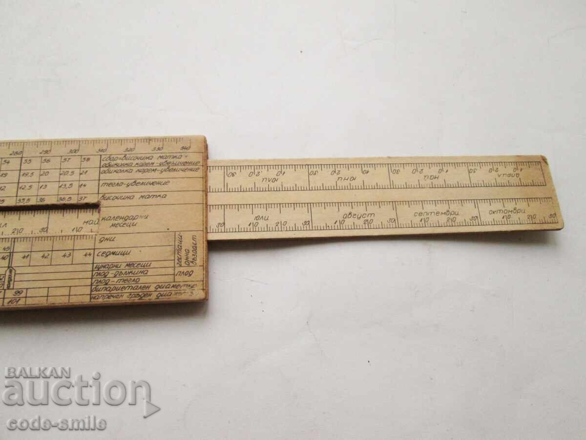 Old medical line for pregnant women - pregnancy progression - 6