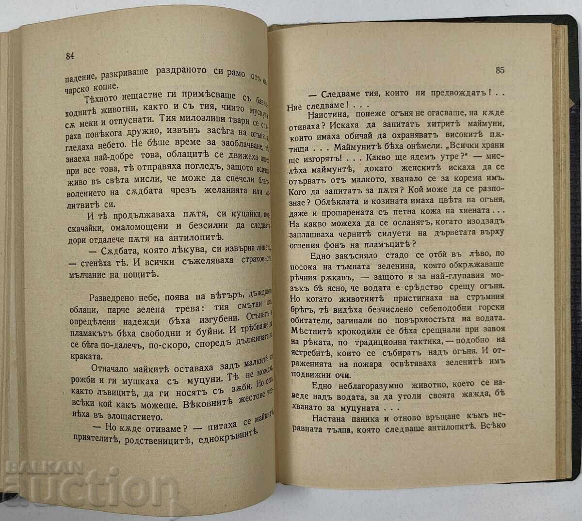 1931 BOOK ABOUT WILD ANIMALS - 7 1931 BOOK ABOUT WILD ANIMALS - 7