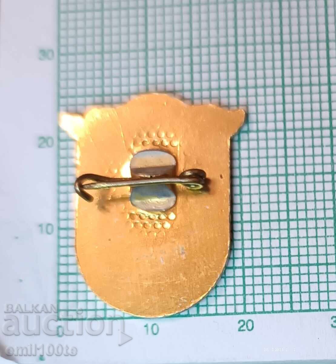 Delivery of Badge - Dryanovo Coat of Arms Delivery of Badge - Dryanovo Coat of Arms