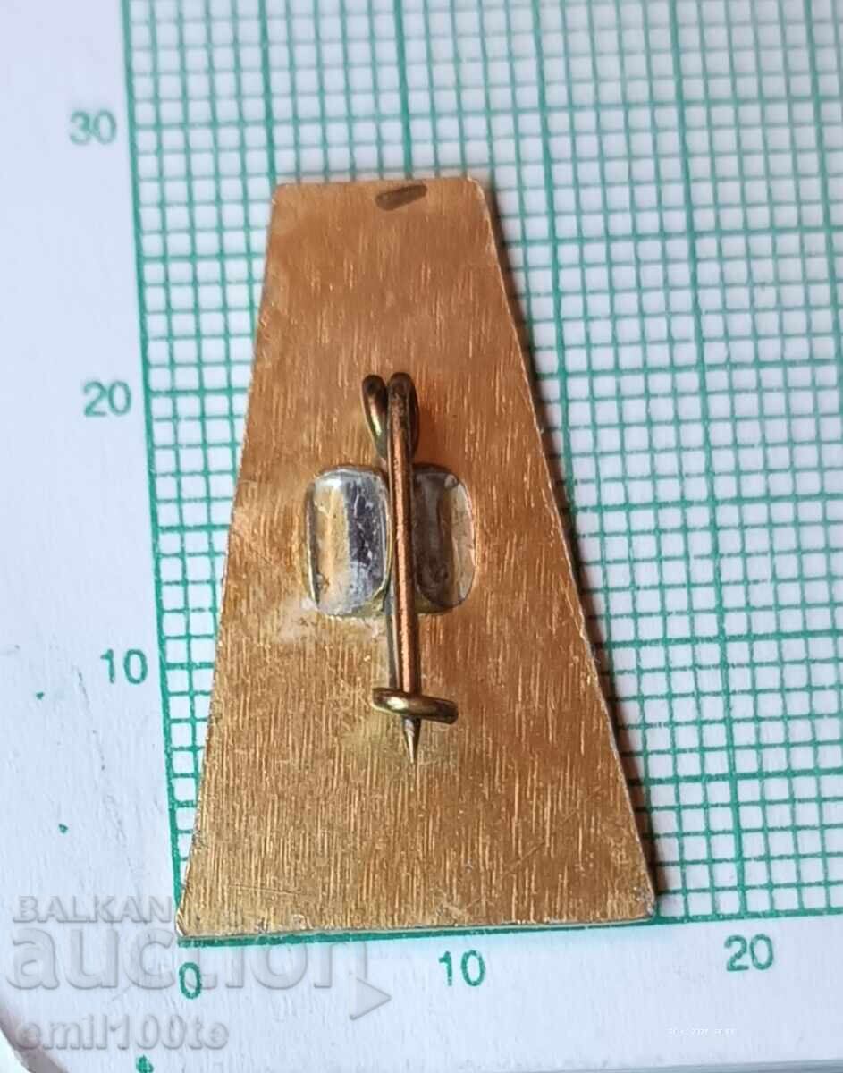 Delivery of Badge - Razgrad coat of arms Delivery of Badge - Razgrad coat of arms