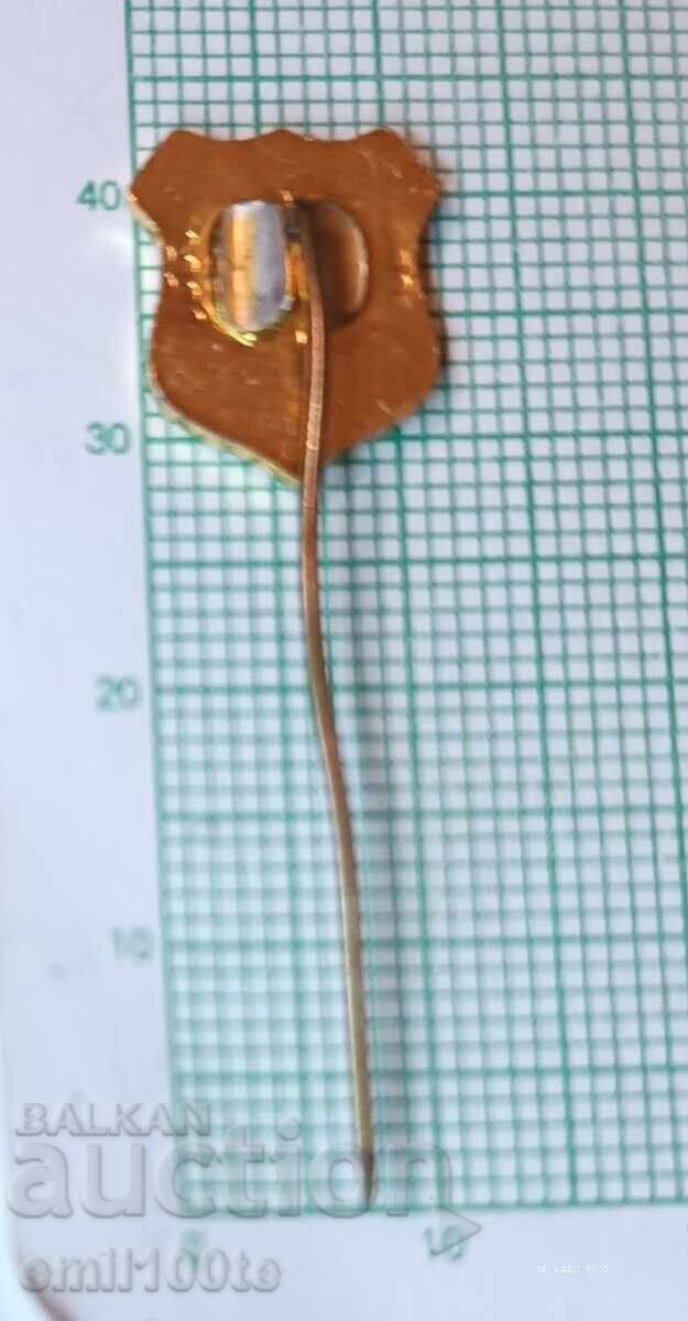 Доставка на Значка- ДФС и Футболен клуб Хасково