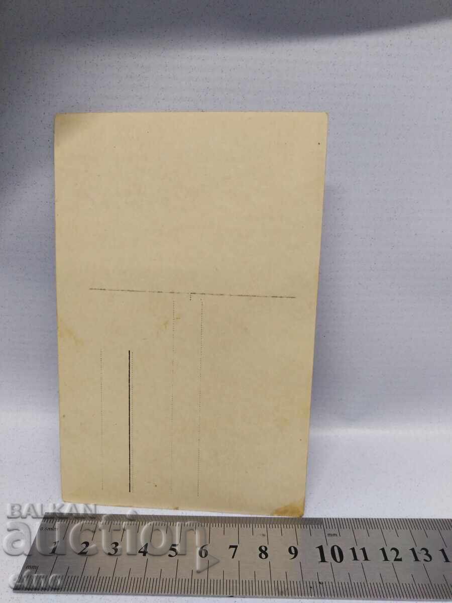 Delivery of Tsar's Photograph, Cavalryman, Soldier, 5th Cavalry Regiment, Saber, Insignia