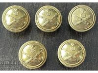 6236 Regatul Bulgariei 5 bucăți nasturi mici artilerie PSS (Primul Război Mondial) ofițer