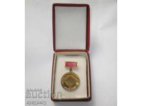 Vechi medalie socială, insignă de onoare, insignă autostrada Hemus :)