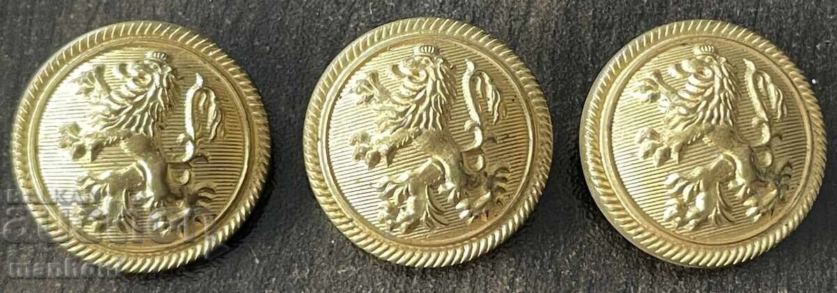 6241 Βασίλειο της Βουλγαρίας 3 τεμάχια μεγάλα κουμπιά επίσημα αξιωματικού