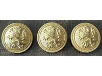 6241 Regatul Bulgariei 3 bucăți nasturi mari de paradă ofițerești
