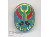 Rare Radio and Television Badge