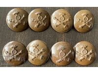 6246 Regatul Bulgariei 8 bucăți nasturi mari de artilerie bak