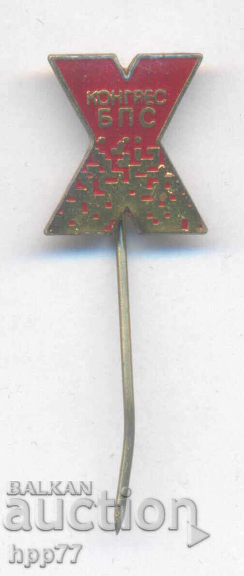 Rare 10th Congress BPS Badge Rare 10th Congress BPS Badge