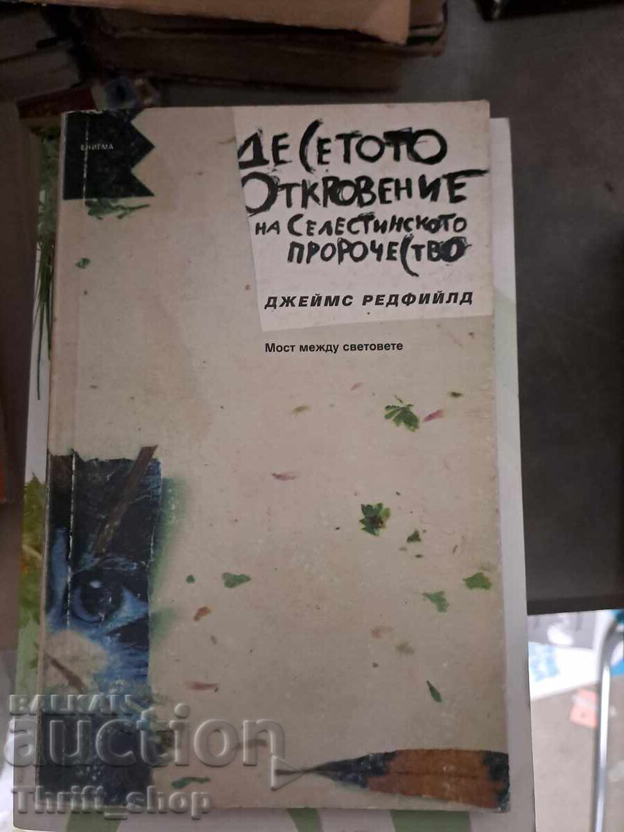 A zecea revelație a profeției celestine