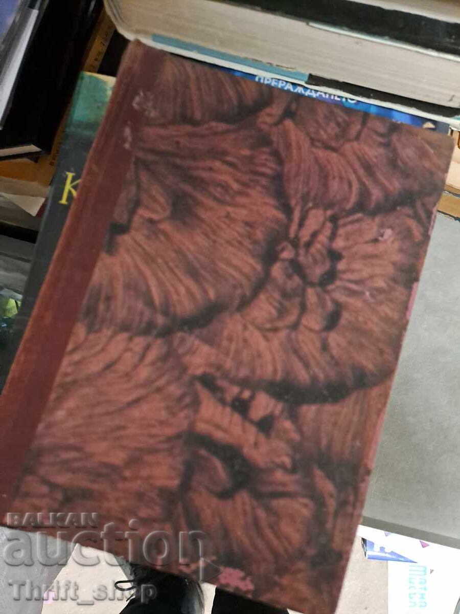 În umbra conspirației