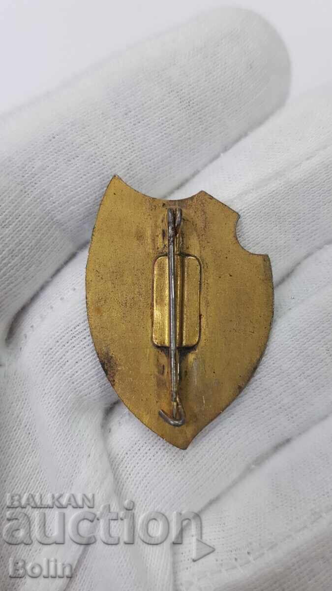 Auction  Very Rare Imperial Badge "Memory of the War 1915-1916"