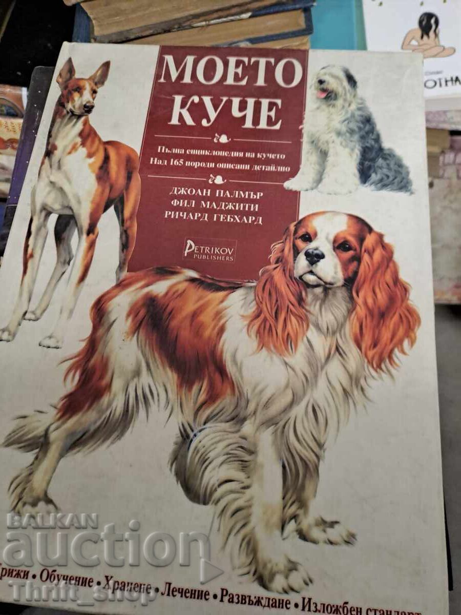 Cainele meu Cainele meu