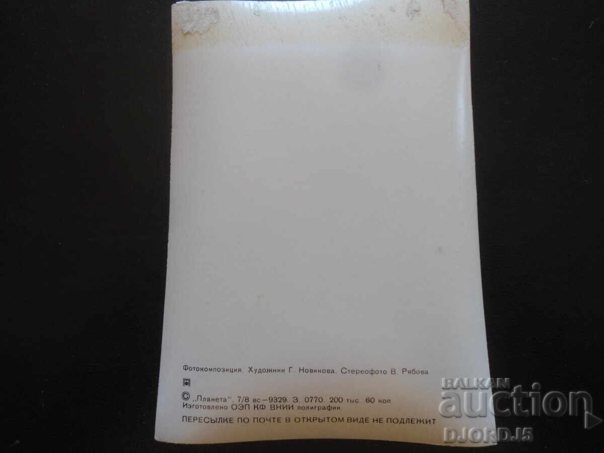 Παλιά στερεοσκοπική κάρτα, Φωτοσύνθεση με τιμή 5.00 BGN | € 2.56