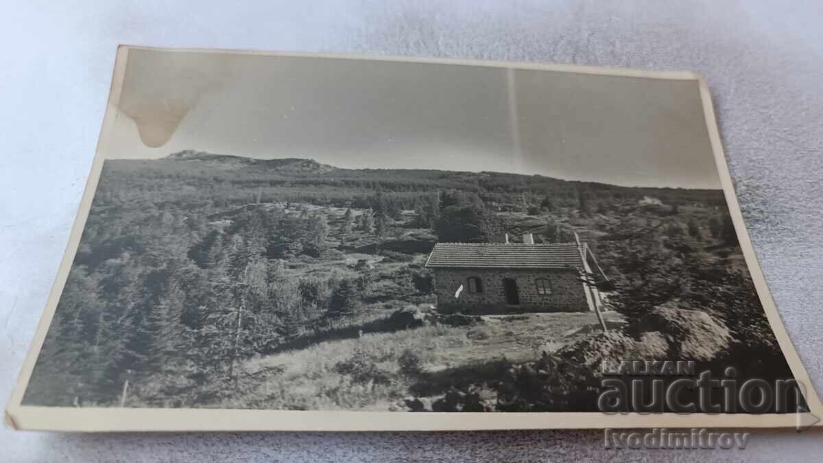 Cabana foto la munte