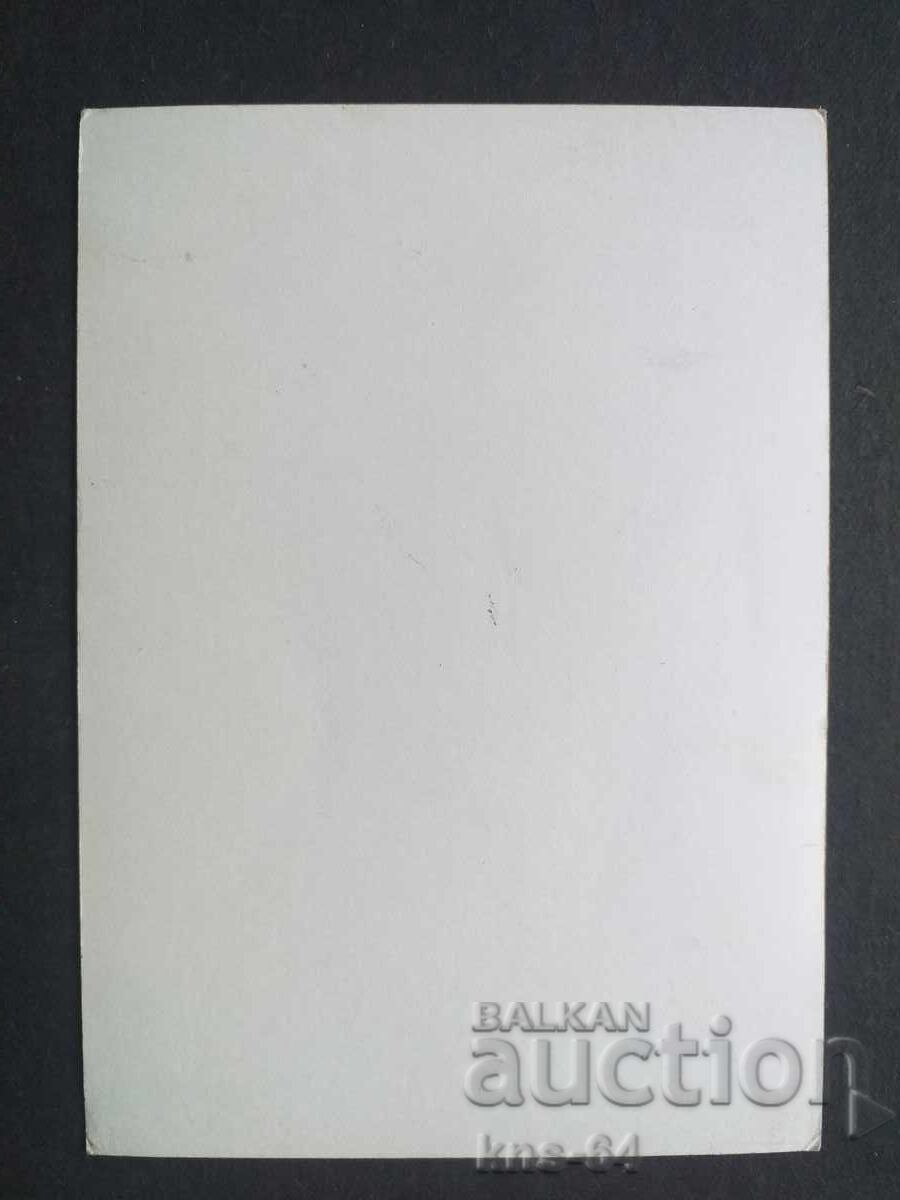 Precious Wilson with price 1.00 BGN | € 0.51