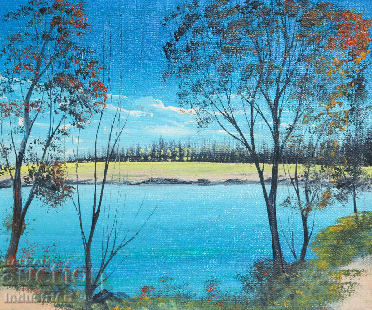 Oil painting spring landscape with price 120.00 BGN | € 61.36