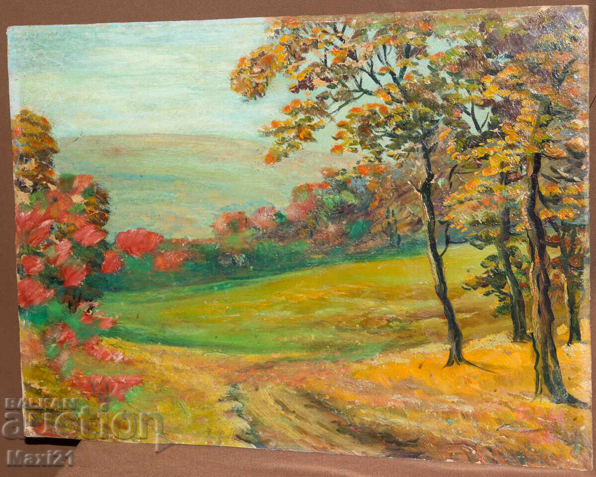 Пейзаж стара картина маслени бои с цена 250.00 лв. | € 127.82