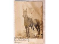 Din drumul de luptă al Regimentului 40 Infanterie de Coastă Marea Albă, Primul Război Mondial