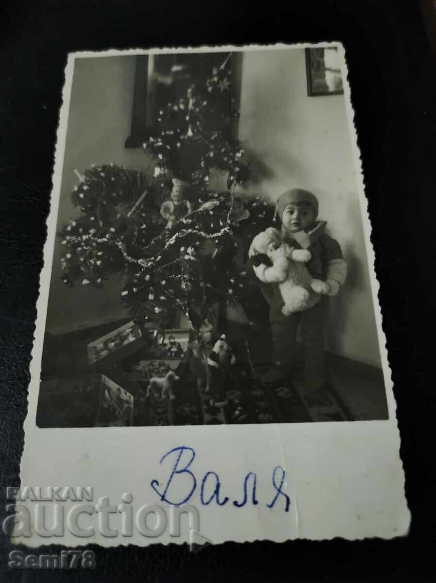 Old photo - Photo Venus - Targovishte - 1936 Old photo - Photo Venus - Targovishte - 1936