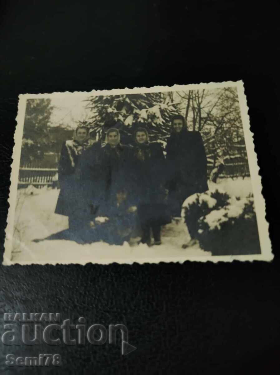 Стара снимка - Вълчи дол