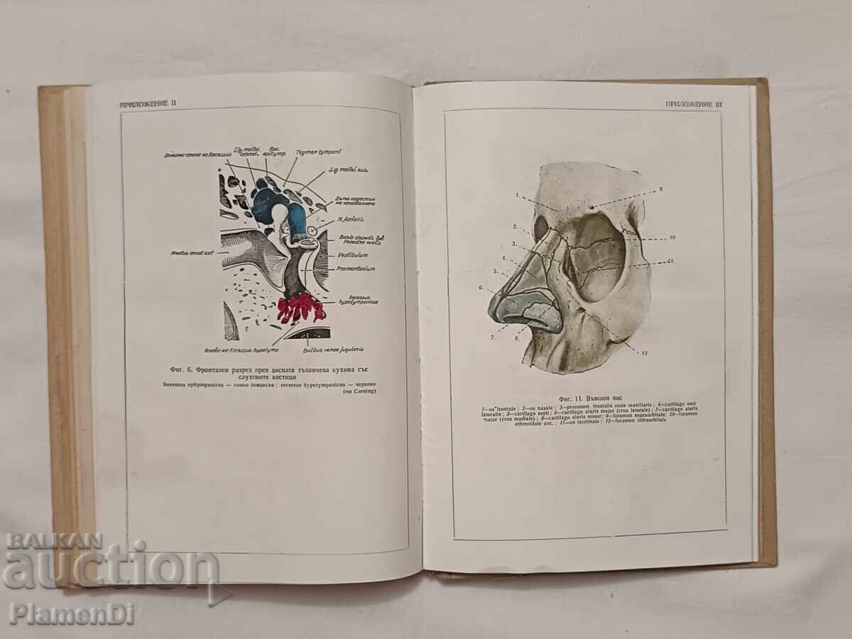 Учебник по Уши, носни и гърлени болести. - 5