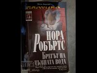 Η ακτή του σκοτεινού νερού Νόρα Ρόμπερτς