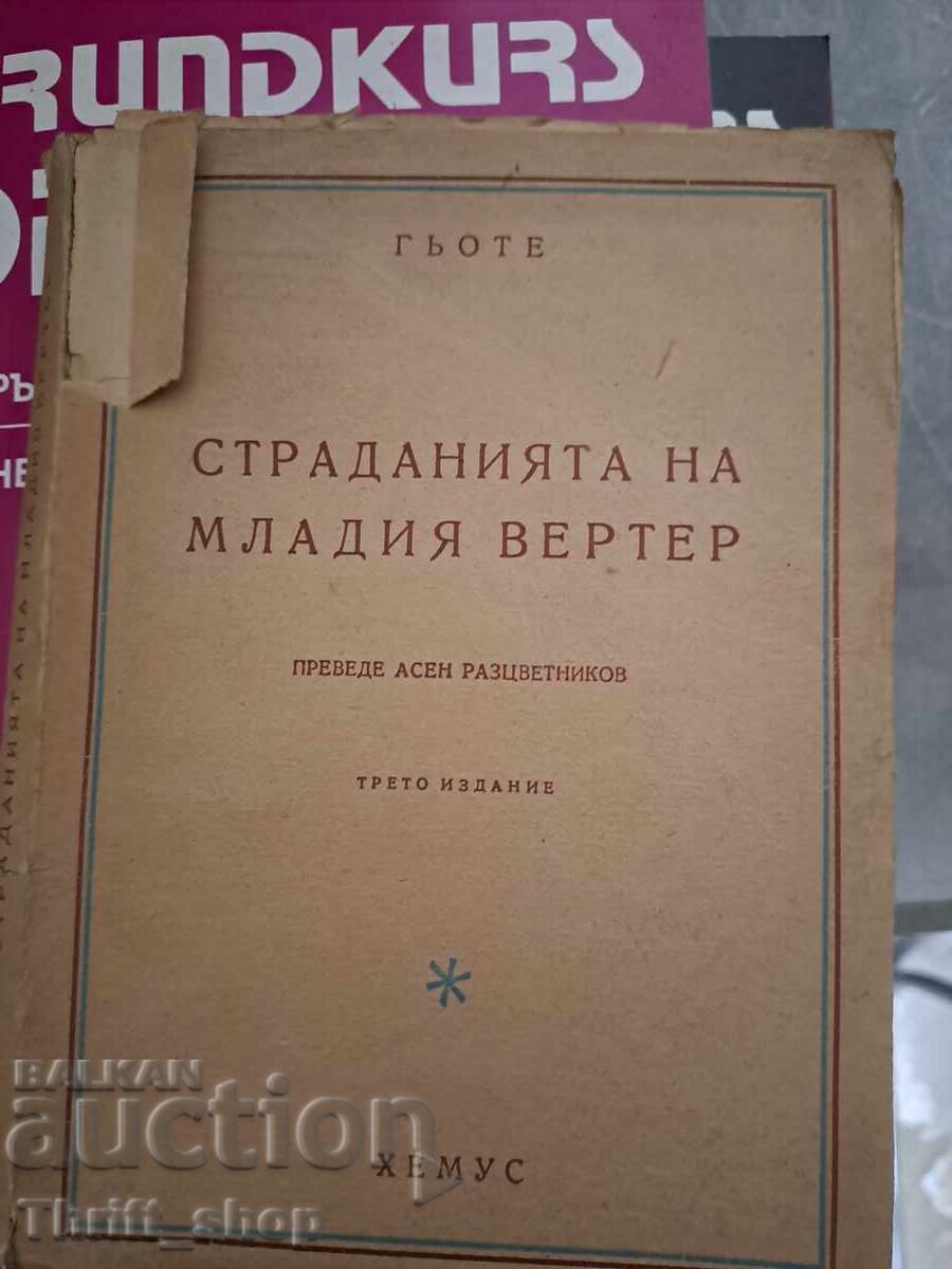 Τα πάθη του νεαρού Βερθέρ