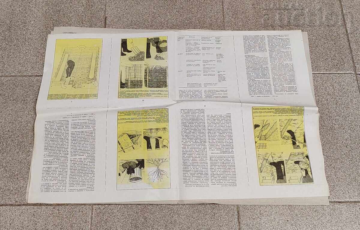 V-K "TERA" NUMBER 1 YEAR I 1991 - 5