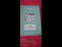 TIMP ȘI CALENDAR - PROF. I. POLAK