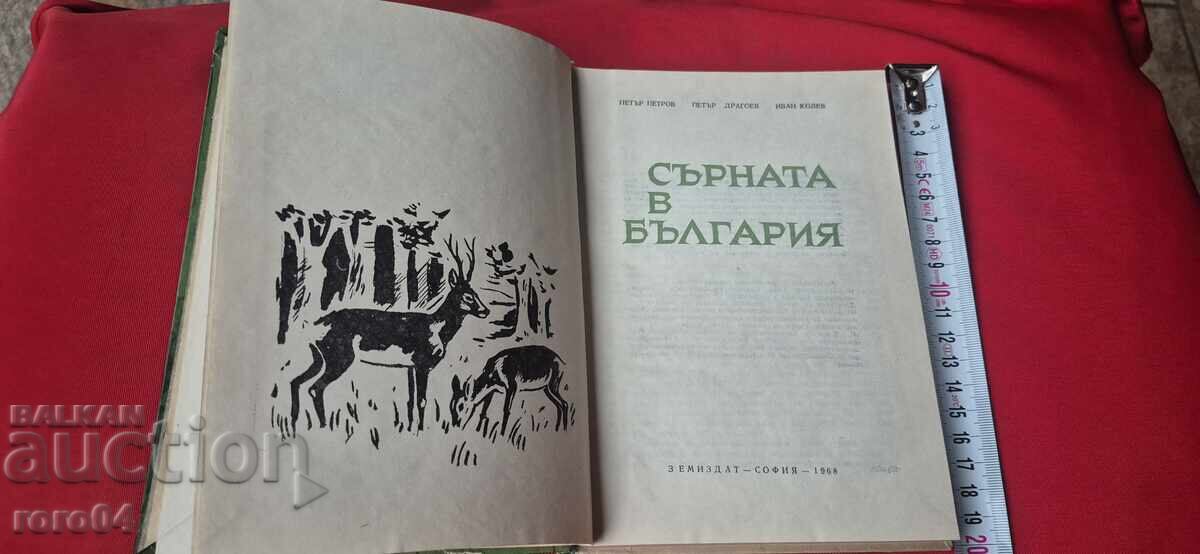 SŬRNATA V ΒΟΥΛΓΑΡΙΑ - ΠΕΤΡΟΦ / ΔΡΑΓΟΕΦ / ΚΟΛΕΦ με τιμή 25.00 BGN | € 12.78