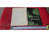 CERBUL ÎN BULGARIA - PETROV / DRAGOEV / KOLEV