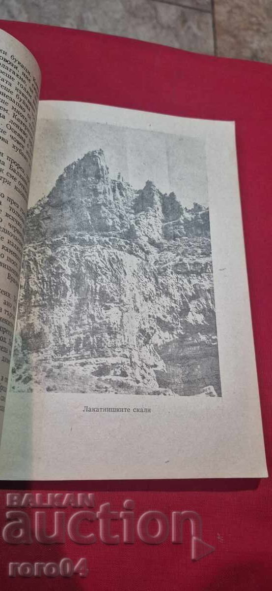 Livrarea GORDĂ STARA PLANINA - I. RADICIKOV