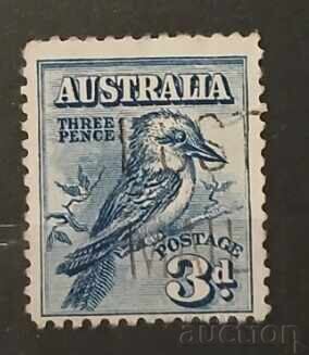 Австралия Птици Австралия Птици