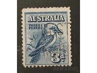 Австралия Птици