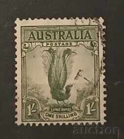 Австралия Птици Австралия Птици