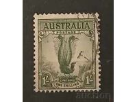 Австралия Птици