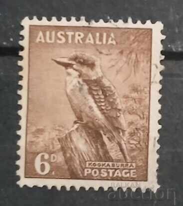 Австралия Птици