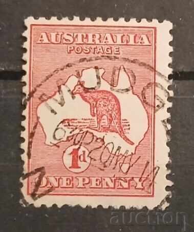 Австралия Фауна Австралия Фауна